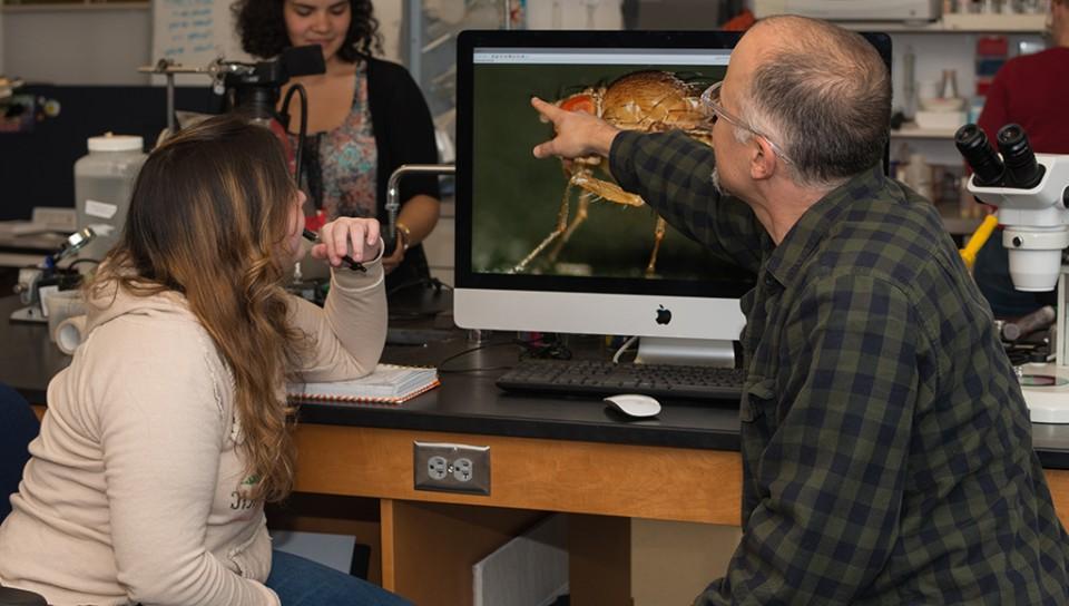 A 教师 member and student discussing fruit flies